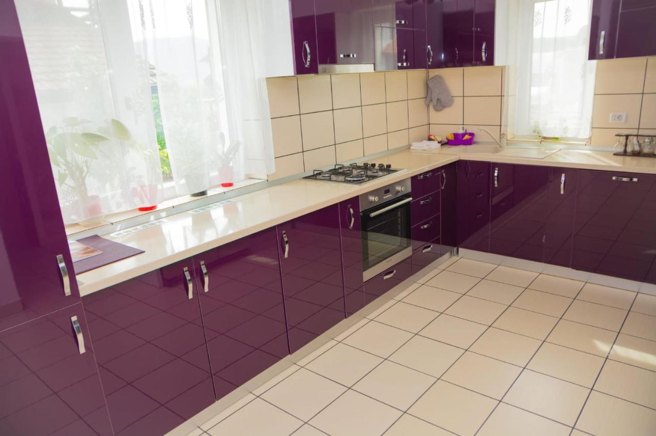 Vila Casa Gabrielle Călimăneşti Exteriér fotografie